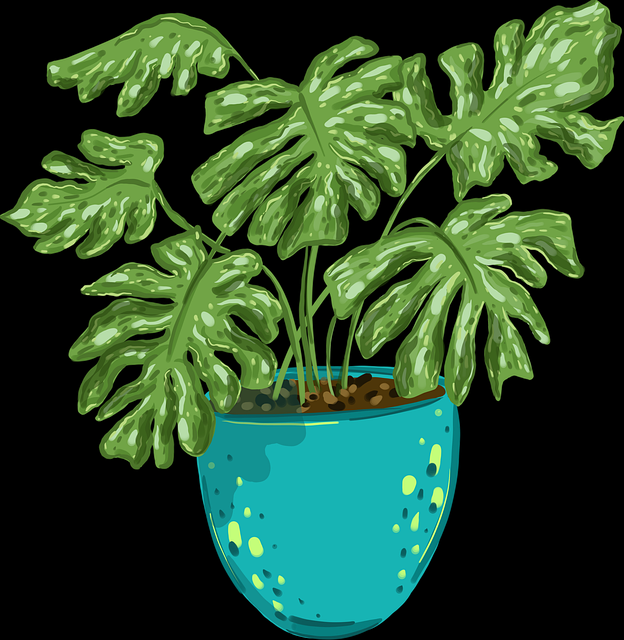 榴莲社区——暗黑模式高能时刻警示录