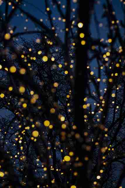 音轨选择！蘑菇影视在线观看爆点速览实战分享