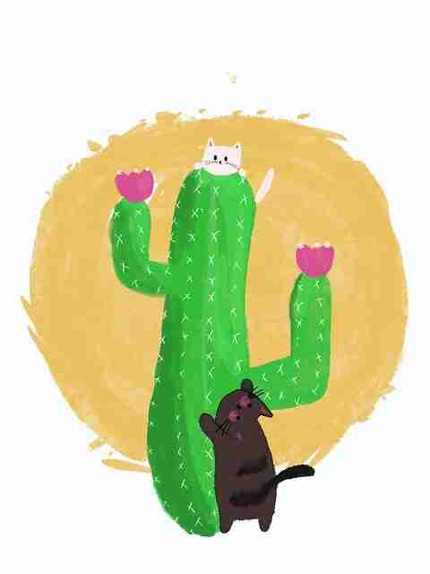 公关反击！91网冷门宝藏核心要点