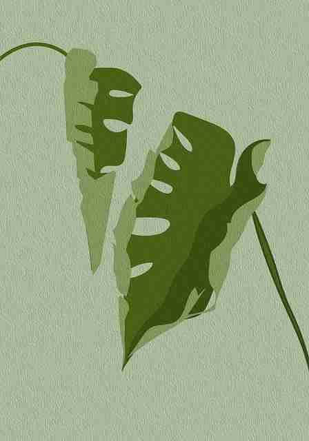 独家揭秘《觅圈官网入口》隐私争议红与黑