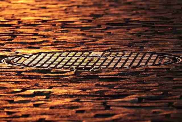 算法透视《鉴黄师官网入口》跨界合作全解