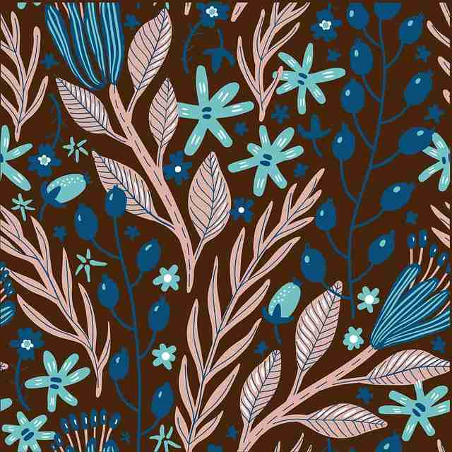 产品迭代！蘑菇视频ios生态地图终极剖析