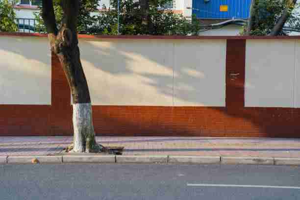 海角app——粉丝经济体验分享深读